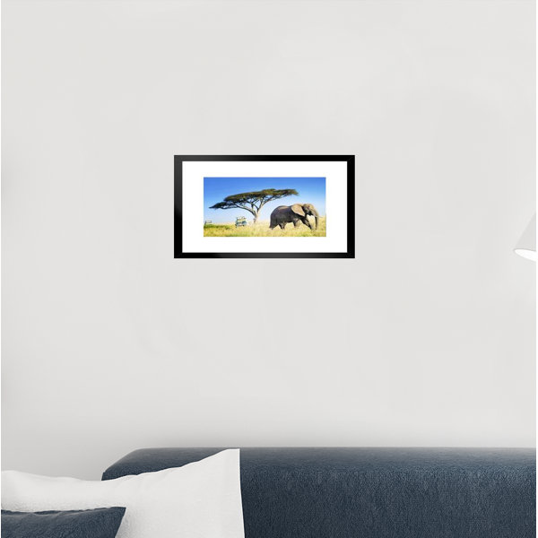 Latitude Run® Large African Elephant Against Acacia Tree African